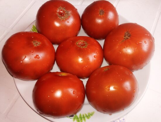 Гном Варатах